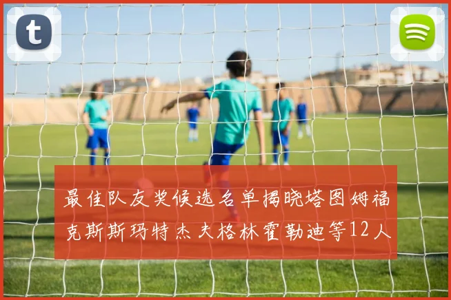 最佳队友奖候选名单揭晓塔图姆福克斯斯玛特杰夫格林霍勒迪等12人争夺荣耀