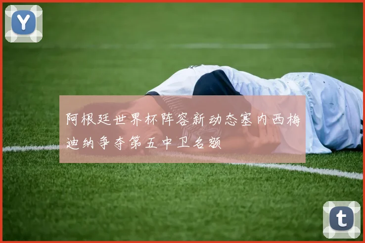 阿根廷世界杯阵容新动态塞内西梅迪纳争夺第五中卫名额